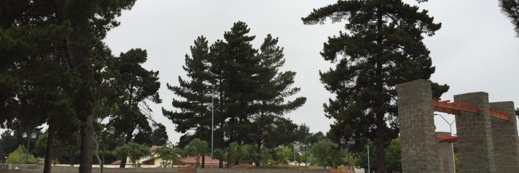 Plaza Bosques de Montemar